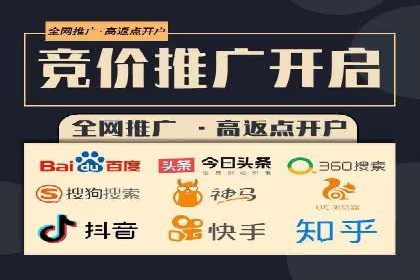 某行业领军企业的SEM广告投放策略